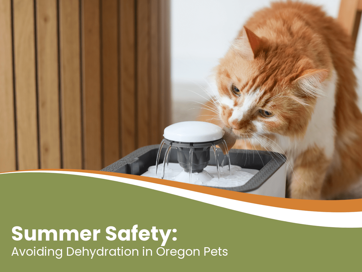 Pet Hydration Tips